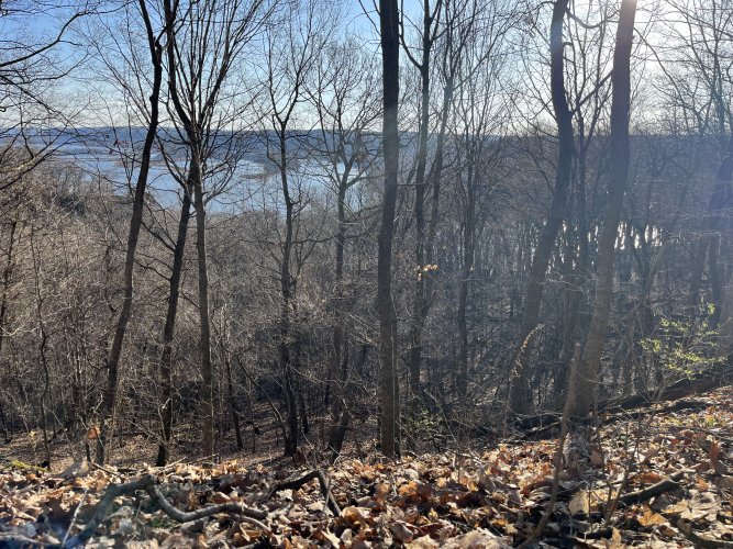 1712581034400.jpeg 1712581034400.jpeg