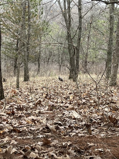 1712586199644.jpeg 1712586199644.jpeg