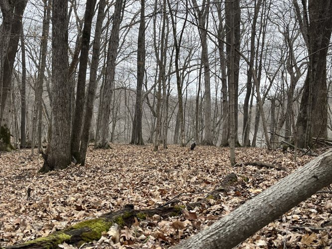 1712592133709.jpeg 1712592133709.jpeg