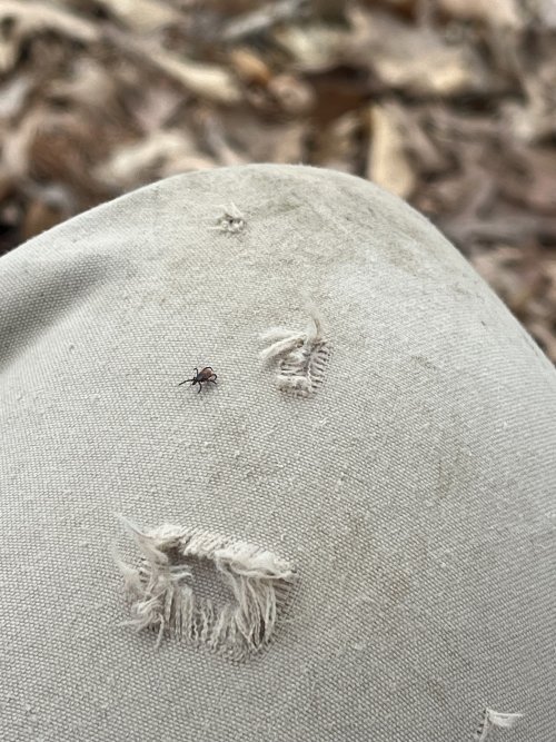 1712599654467.jpeg 1712599654467.jpeg