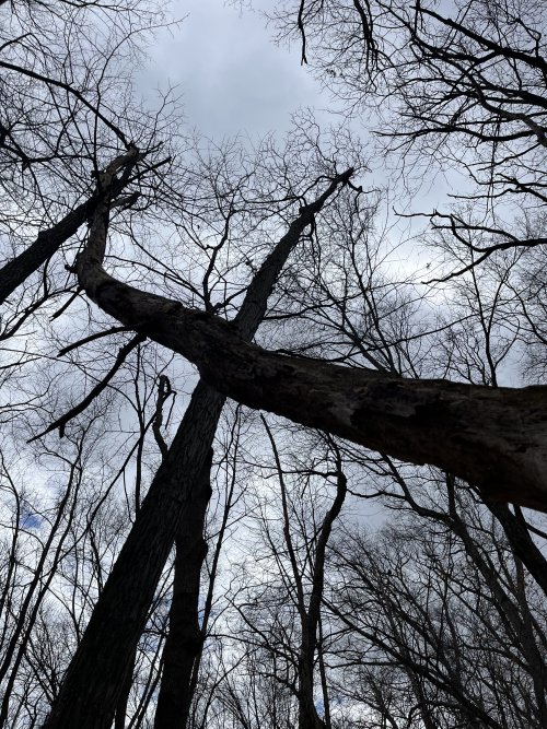 1712600085542.jpeg 1712600085542.jpeg