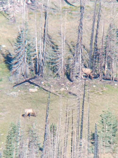 20230827_080124.jpg 20230827_080124.jpg