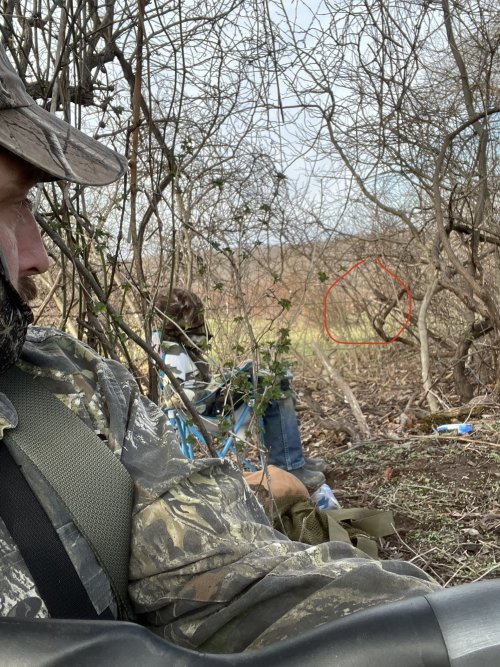 1712622990533.jpeg 1712622990533.jpeg