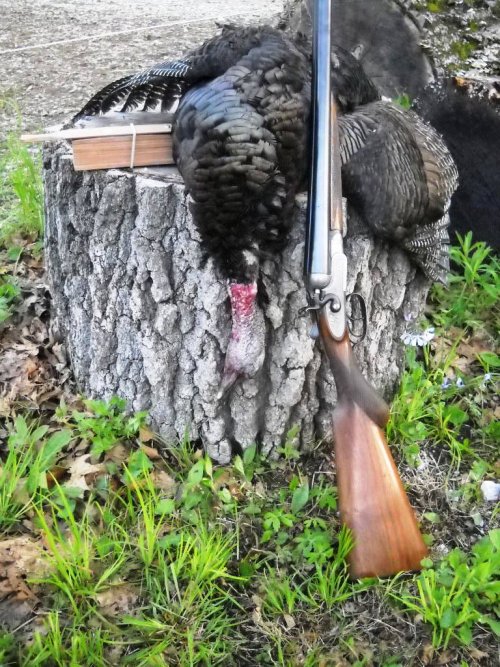 Turkey 2nd season 2012.JPG Turkey 2nd season 2012.JPG