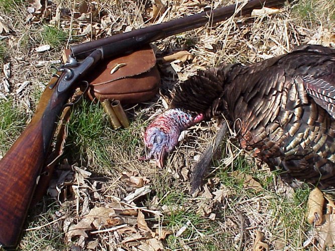 2003 1st season bird 1.JPG