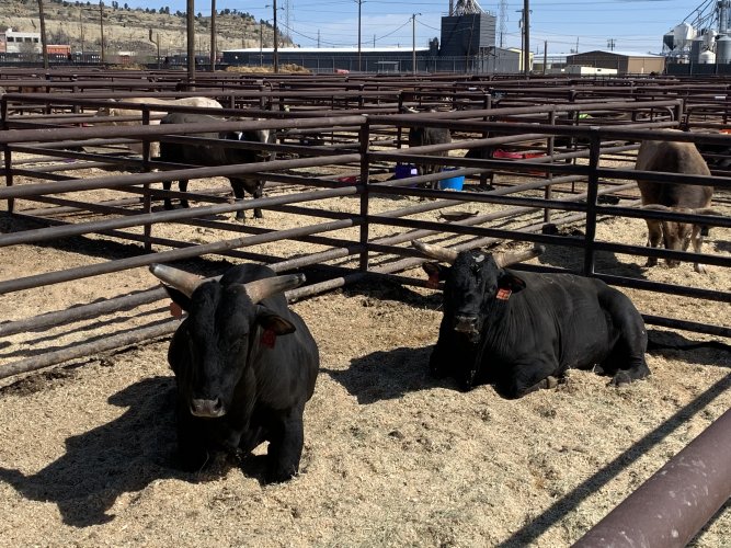 IMG_6726.jpeg IMG_6726.jpeg