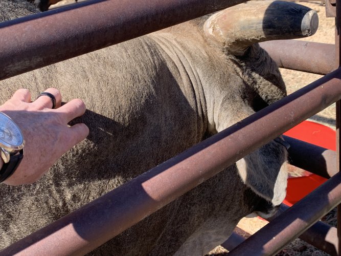 IMG_6737.jpeg IMG_6737.jpeg