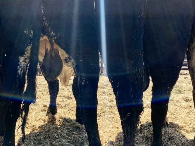 IMG_6755.jpeg IMG_6755.jpeg