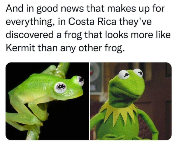 1713116266134.png