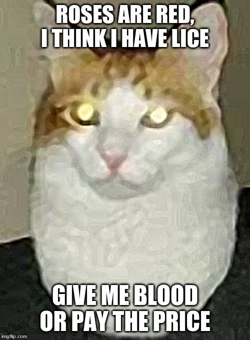 1713219791328.jpeg 1713219791328.jpeg