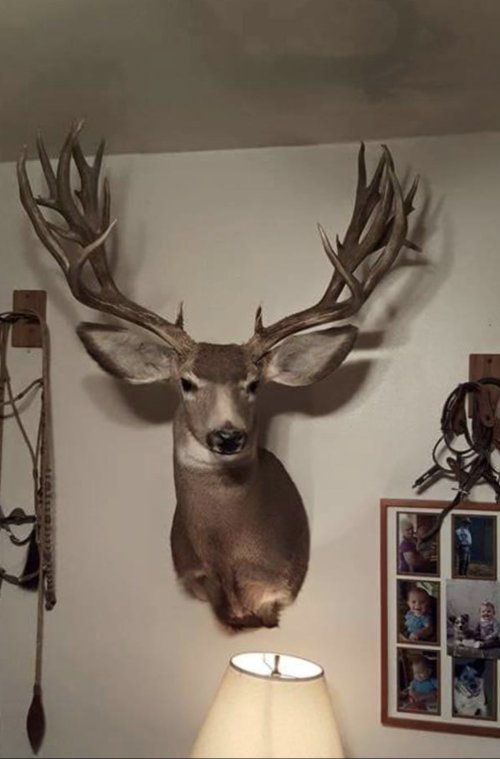 837D8F55-6122-453B-AAEA-F45399A2CEE4.jpeg 837D8F55-6122-453B-AAEA-F45399A2CEE4.jpeg