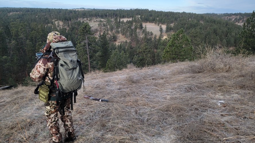 20240420_074811.jpg 20240420_074811.jpg