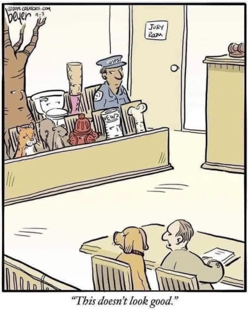 1713660851316.png