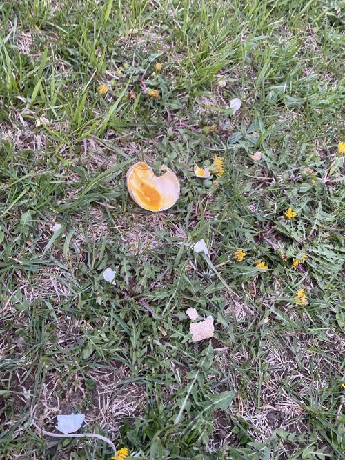 IMG_4888.jpeg IMG_4888.jpeg