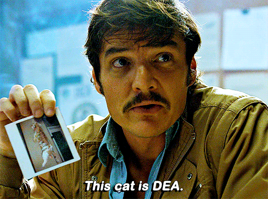 tumblr_48ea9180dabea4e9f53d451fa053aa56_ae6e7e00_540.gif tumblr_48ea9180dabea4e9f53d451fa053aa56_ae6e7e00_540.gif