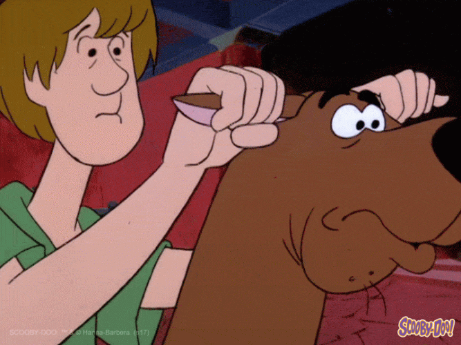 scooby doo01 - Copy.gif scooby doo01 - Copy.gif