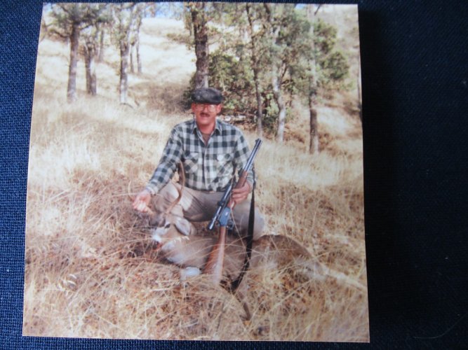 Calif blacktail buck.JPG