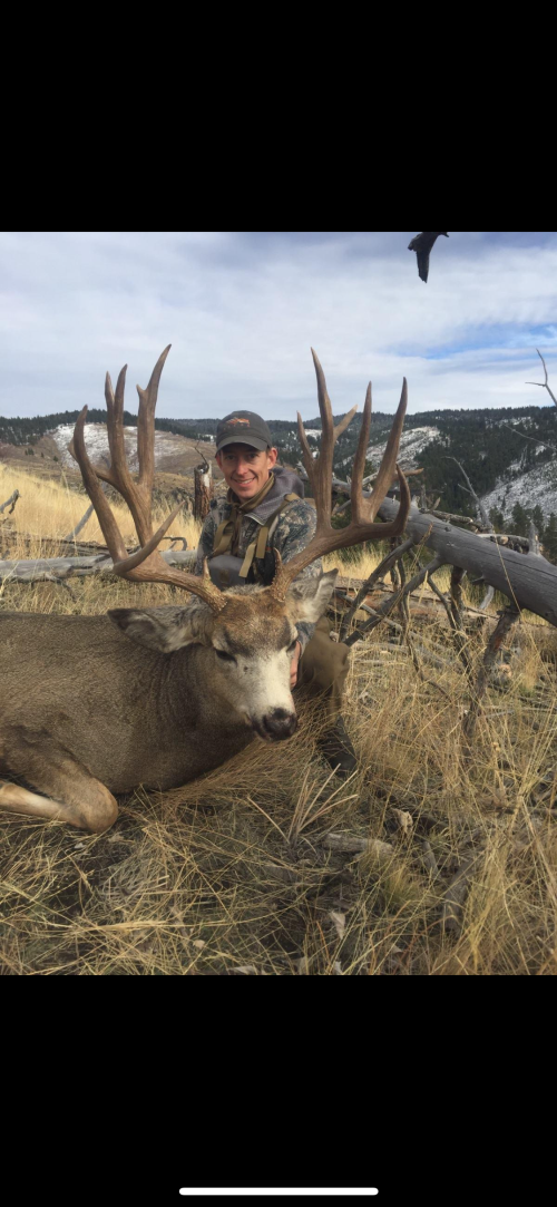 IMG_4337.png IMG_4337.png