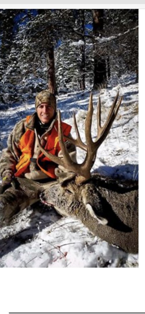 IMG_4336.jpeg IMG_4336.jpeg