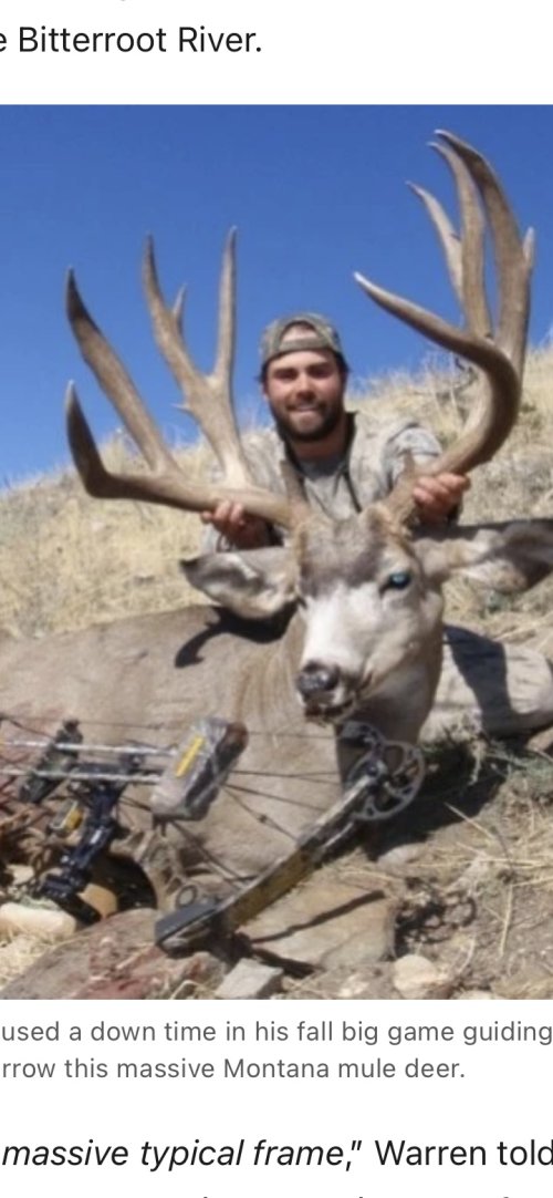 IMG_4335.jpeg IMG_4335.jpeg