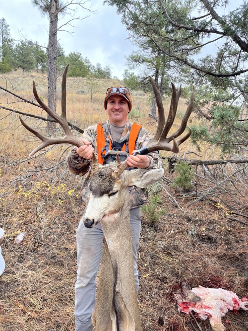 IMG_3758.jpeg IMG_3758.jpeg