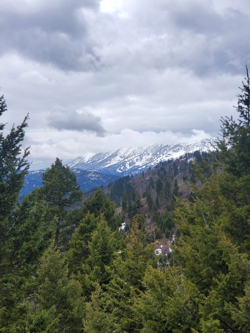 Bridgers 5-3-24.jpg