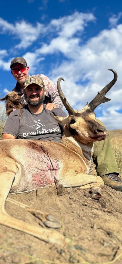 pronghorn.jpg pronghorn.jpg