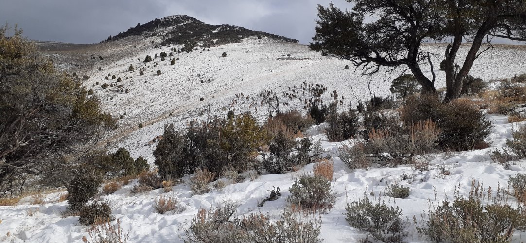 20221211_112750.jpg 20221211_112750.jpg