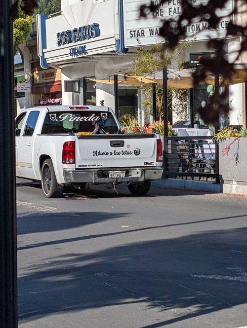 PXL_20240508_152033721.jpg PXL_20240508_152033721.jpg