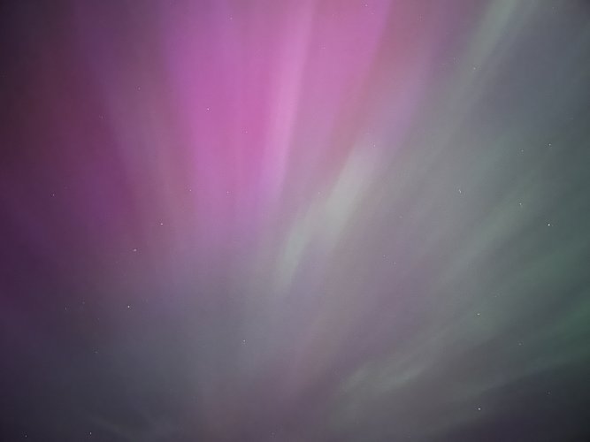 IMG_2145.jpeg