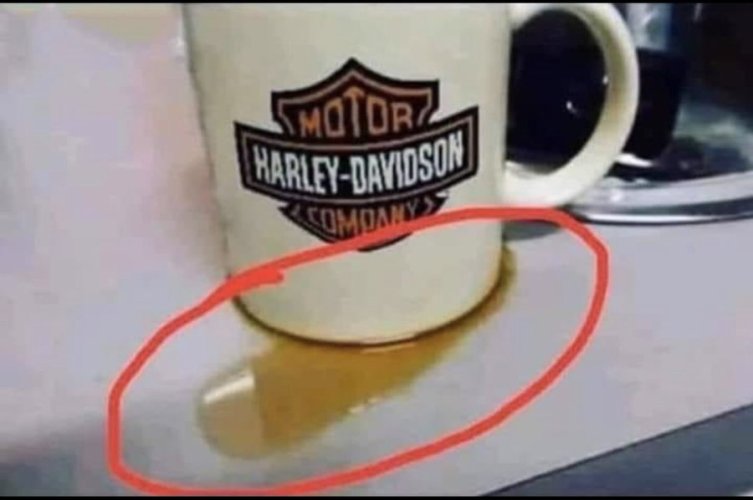 harley.jpg