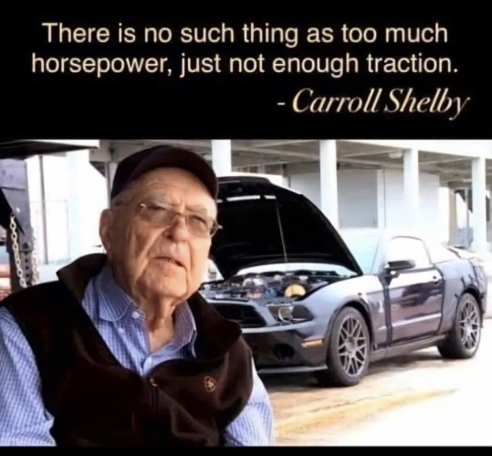 shelby.jpg