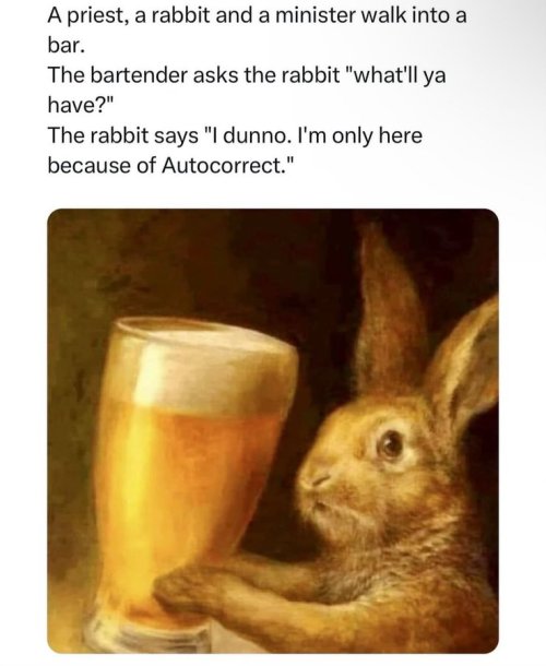 rabbit.jpg