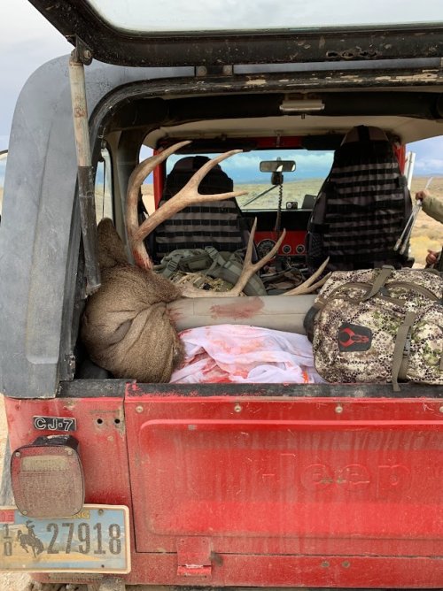 1st WY buck.jpg 1st WY buck.jpg