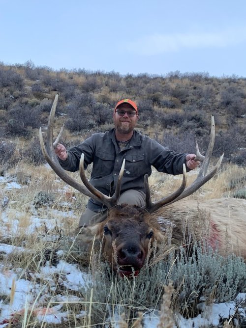 23 bull.jpg 23 bull.jpg