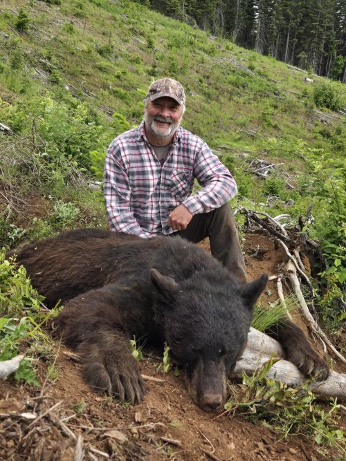 2024 OR spring bear (1).jpg 2024 OR spring bear (1).jpg