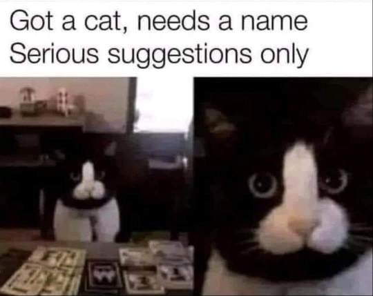 1717081049666.png