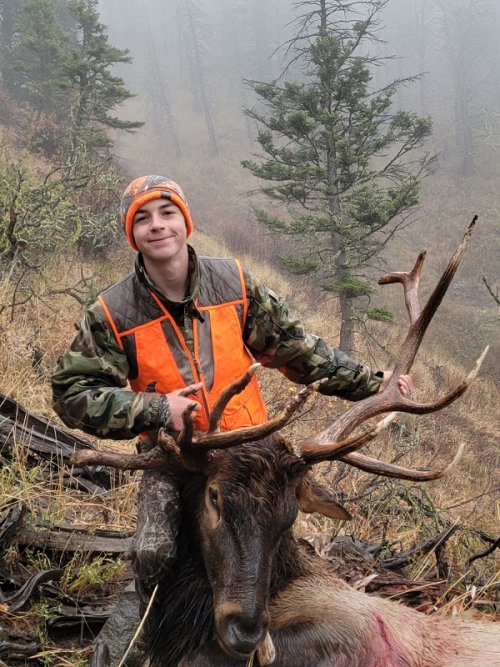 Caden's gnarly antlered elk.jpeg Caden's gnarly antlered elk.jpeg