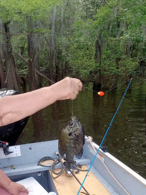 20240523_092415.jpg 20240523_092415.jpg