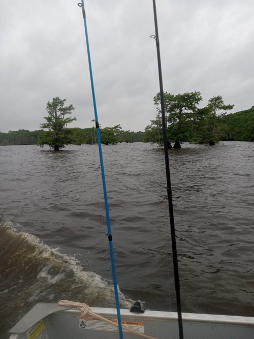 20240526_065403.jpg 20240526_065403.jpg