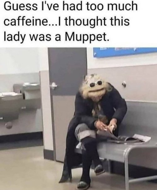muppet.jpg