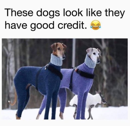 credit.jpg