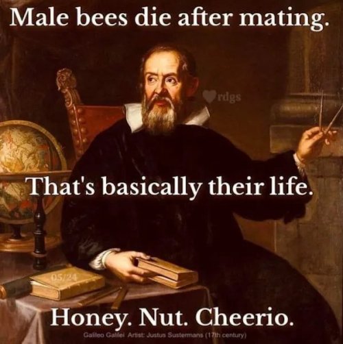 bees.jpg