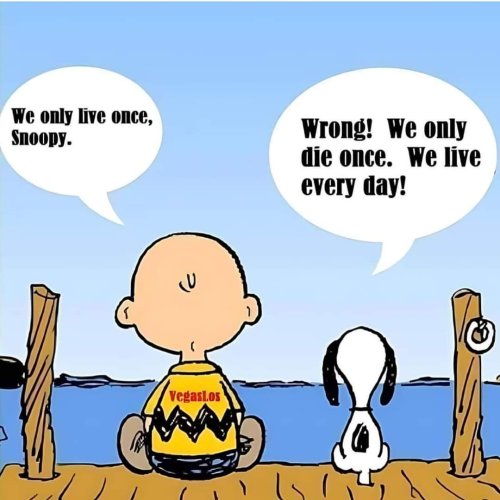 FB_IMG_1718307087104.jpg