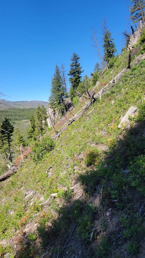 20240613_102344.jpg