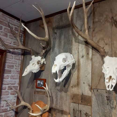 20240320_183144.jpg 20240320_183144.jpg