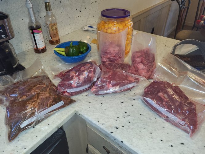 20240615_125520.jpg 20240615_125520.jpg