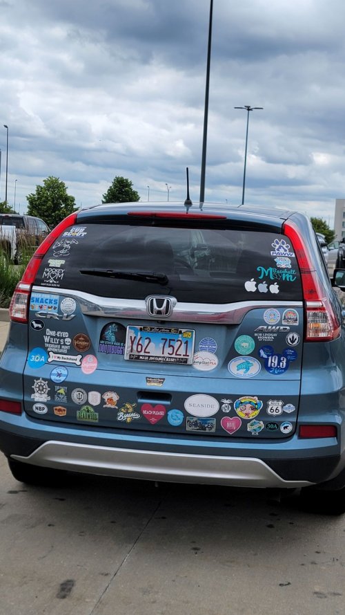 7241523482827473610.jpg