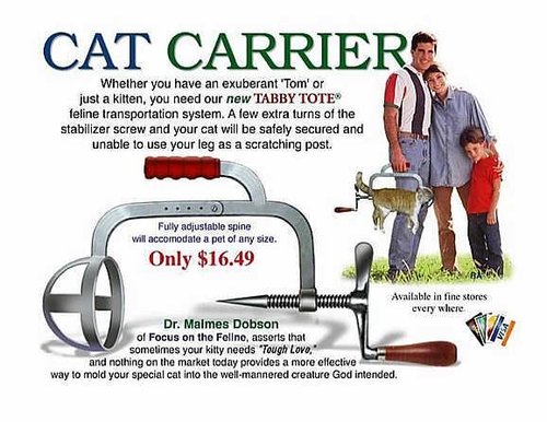 kitty carrier.jpg