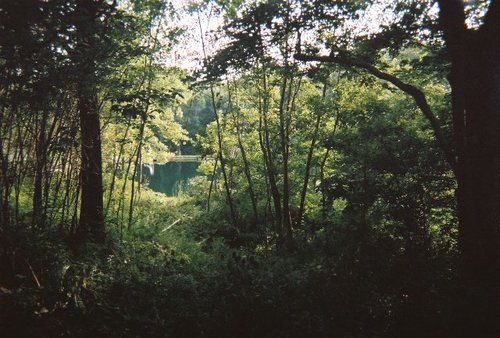FL000027.jpg